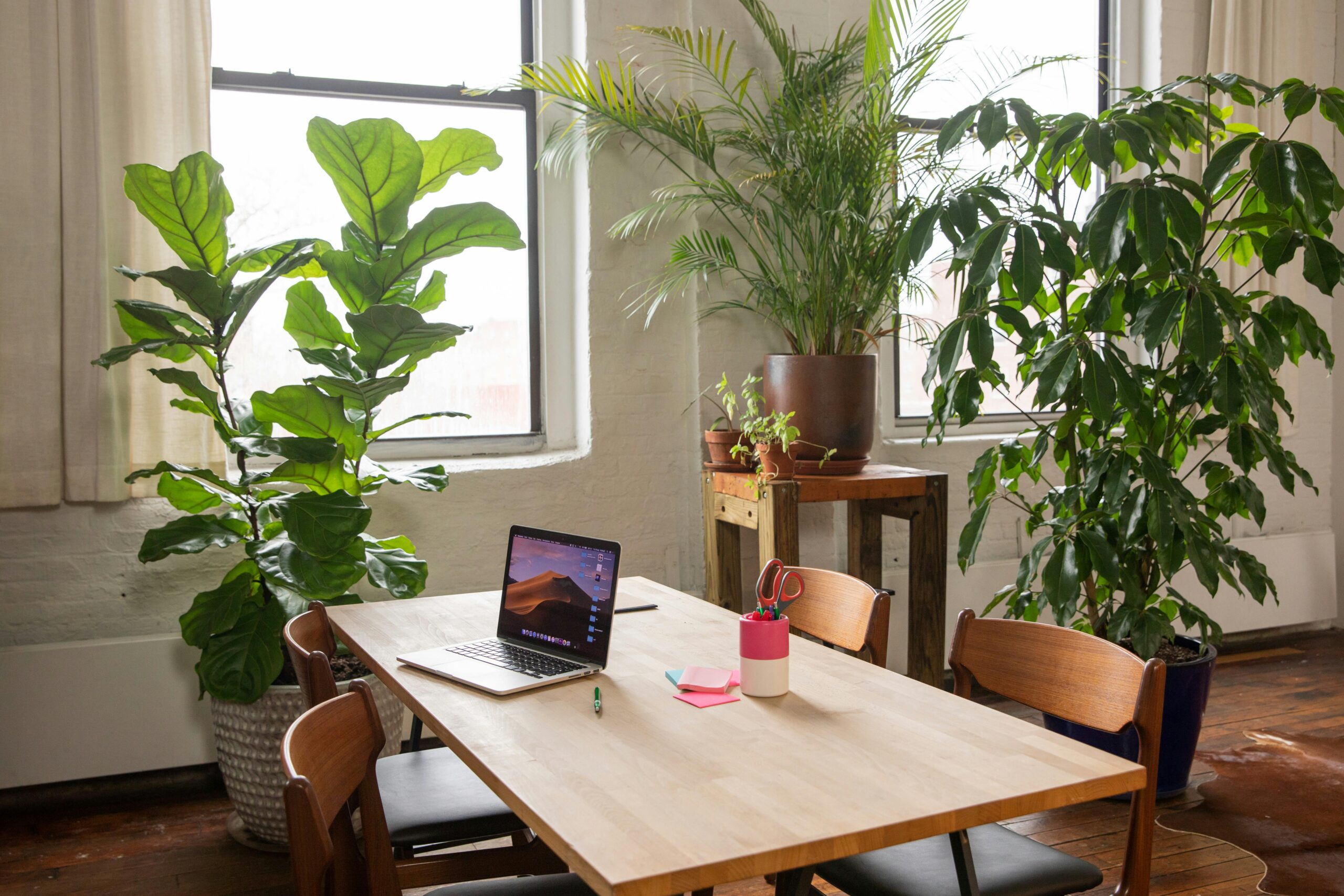 Clean and inviting common area featuring comfortable seating and modern decor, highlighting the exceptional standards of a commercial cleaning service for shared spaces.